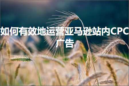 跨境电商知识:如何有效地运营亚马逊站内CPC广告