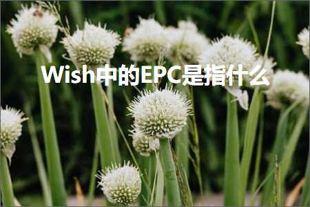 璺ㄥ鐢靛晢鐭ヨ瘑:Wish涓殑EPC鏄寚浠€涔? width=