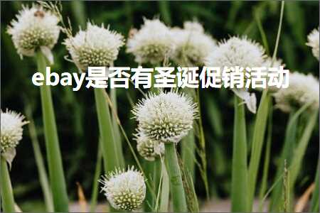 璺ㄥ鐢靛晢鐭ヨ瘑:ebay鏄惁鏈夊湥璇炰績閿€娲诲姩