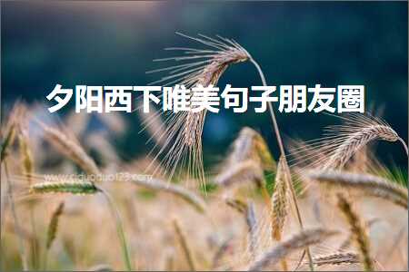 澶曢槼瑗夸笅鍞編鍙ュ瓙鏈嬪弸鍦堬紙鏂囨298鏉★級