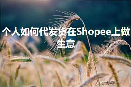 跨境电商知识:个人如何代发货在Shopee上做生意